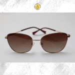 Gafas de sol lentes cafe